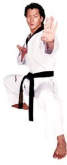 Tiger Claw Taekwondo V-Neck Uniform Adult & Child Gi White with Black Trim