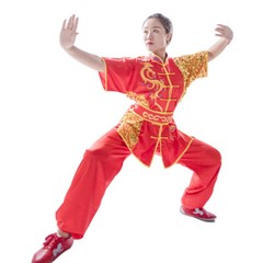 Silk Professional Kungfu Taichi Uniform Martial Arts Wushu Suit Dragon 130~185cm