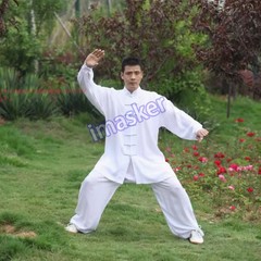 Summer Cotton Tai chi Uniforms Kung fu Suit Martial arts Wushu Wing Chun Clothes