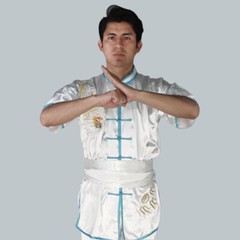 Silk Kung Fu Tai Chi Uniform Martial Arts Changquan Suit Dragon Embroidery Hot