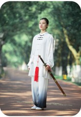 Kun Master Tai Chi Clothes Kung Fu Dress Martial Art Uniform Wushu Clothing