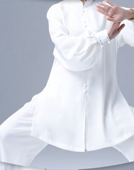 Summer Tai Chi Clothes Wrinkle Free Wushu Clothing Kung Fu Dress Martial Art