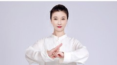 Summer Breathable Short Sleeve Kung Fu Shirts Wing Chun Training Vintage Sport
