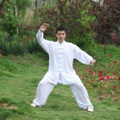 Cotton Kung Fu Tai Chi Uniform Martial Arts Wushu Taiji Wing Chun Suit Mens Set
