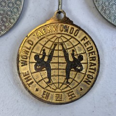 Tae Kwon Do Medal Lot Bae’s Karate Academy USA VA States Championship 80B13