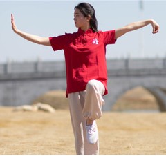 Summer Breathable Short Sleeve Kung Fu Shirts Wing Chun Training Vintage Sport