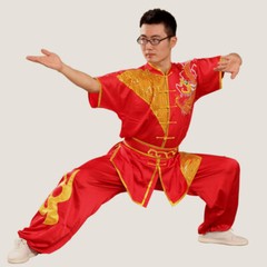 Silk Martial Arts Kung Fu Uniform Wushu Changquan Tai Chi Suit Dragon Embroidery