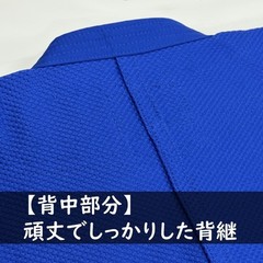 Mizuno Yusho 2nd IJF Blue Judogi 22JAAA1527 2026 model Judo Uniform JUB041