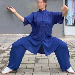 SUMMER Cotton Short-Sleeve Tai Chi Clothes Martial Arts Uniforms Kung Fu Suits