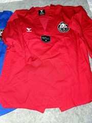 LOT of 2 Vision DXV Taekwondo Uniform Tops Size 2 True Martial Arts W/ Back Logo