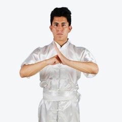 Silk Chinese Kung Fu Tai Chi Uniform Martial Arts Wushu Suit Mens Womens 3XS~4XL