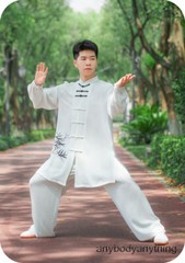 Kun Master Tai Chi Clothes Kung Fu Dress Martial Art Uniform Wushu Clothing