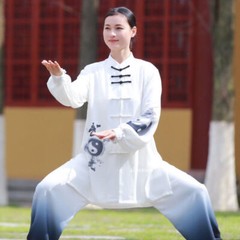 Traditional Chinese Tai Chi Uniforms Wushu Kung Fu Suit Clothing Men Women Suit