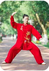 Tai Chi Uniforms Kung Fu Clothing Martial Arts Clothes Wushu Embroidery