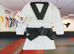 20” Tall Martial Arts Pinata Karate Tae Kwon Do Birthday Pinata