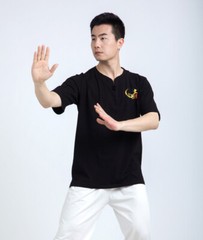 martial arts T-shirt short-sleeved clothing Kung Fu shirt Classic Uniform Kung