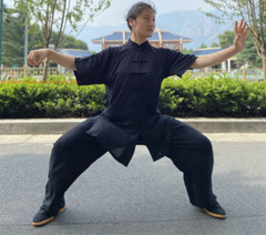 Unisex Summer Cotton Tai chi Uniform Kung fu Martial arts morning exercise Suit