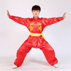 Silk Kung Fu Tai Chi Suit Uniform Martial Arts Changquan Uniform Outfit 5 Colors